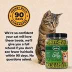 Hairball Defense | Feline Treats